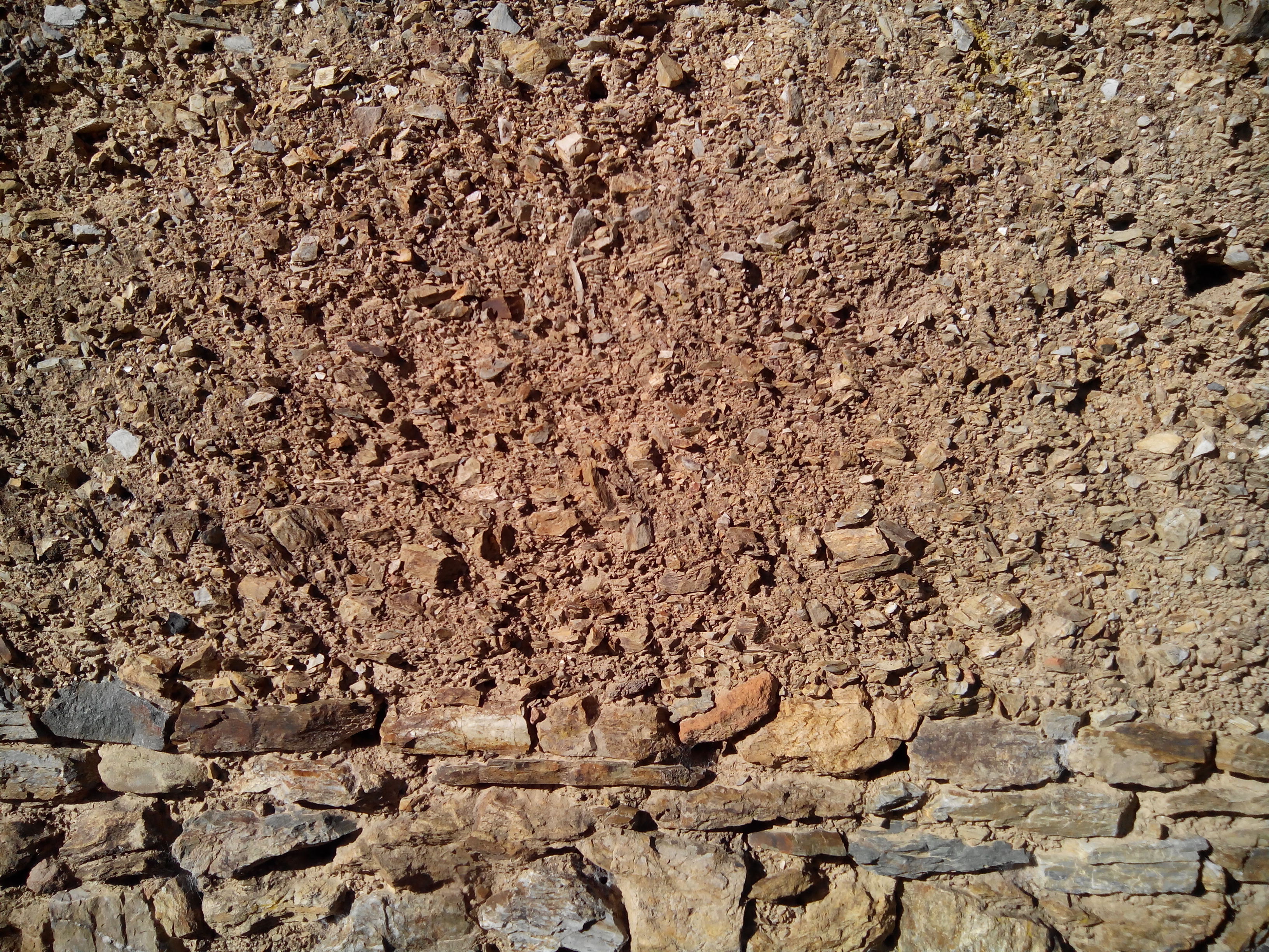 p2-imag5.1